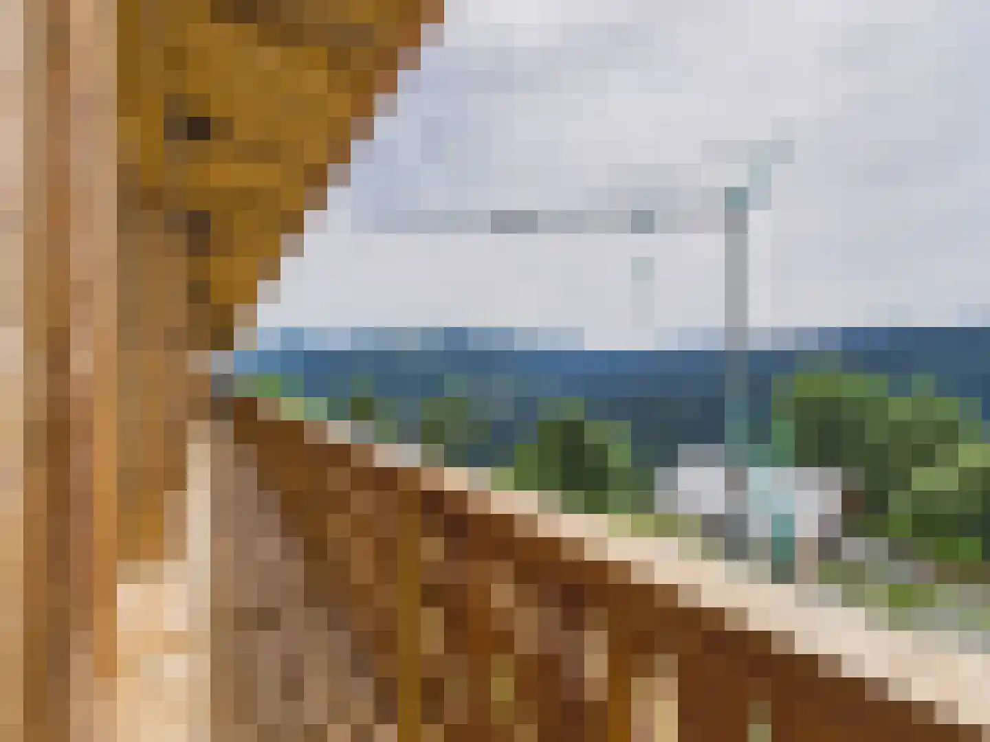 Route de Magy 1917 Heel thumbnail 8
