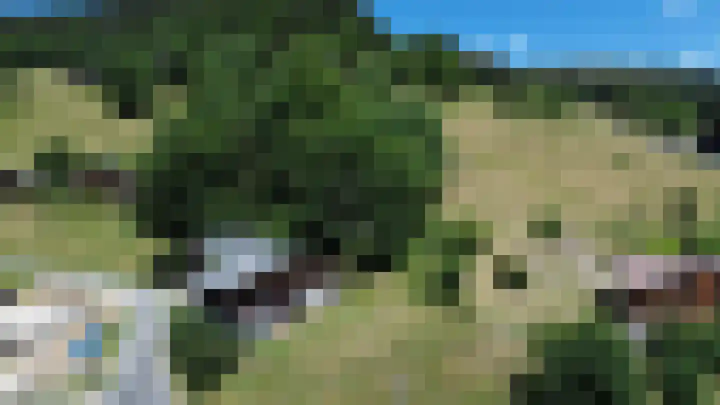 Route de Magy 1917 Heel thumbnail 80