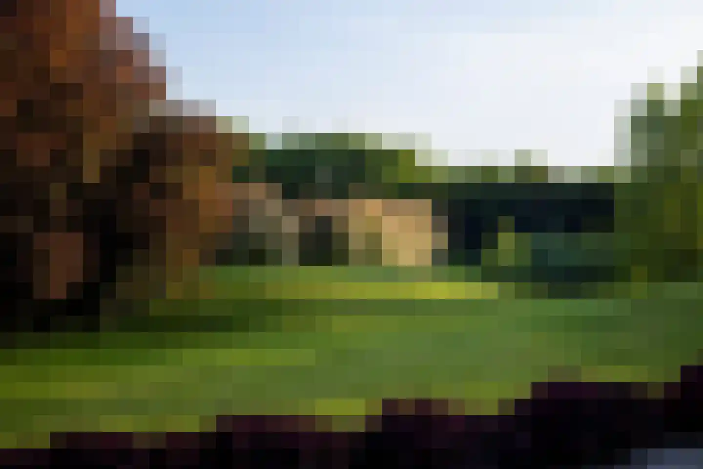 Rouvenenstraat 5 Duiven thumbnail 17
