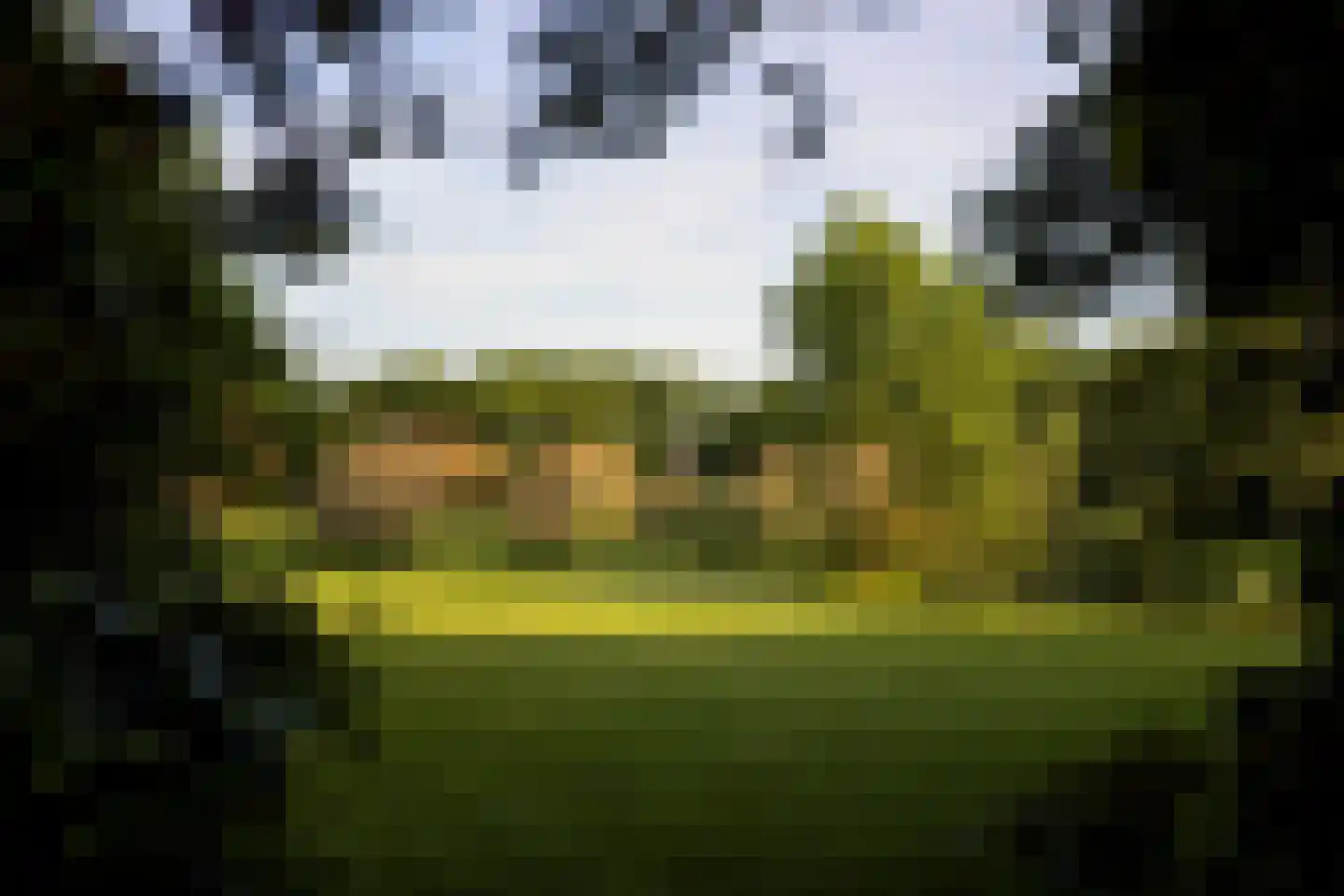 Rouvenenstraat 5 Duiven thumbnail 18