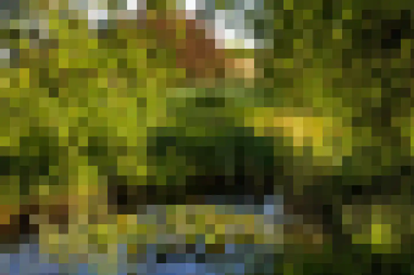 Rouvenenstraat 5 Duiven thumbnail 19