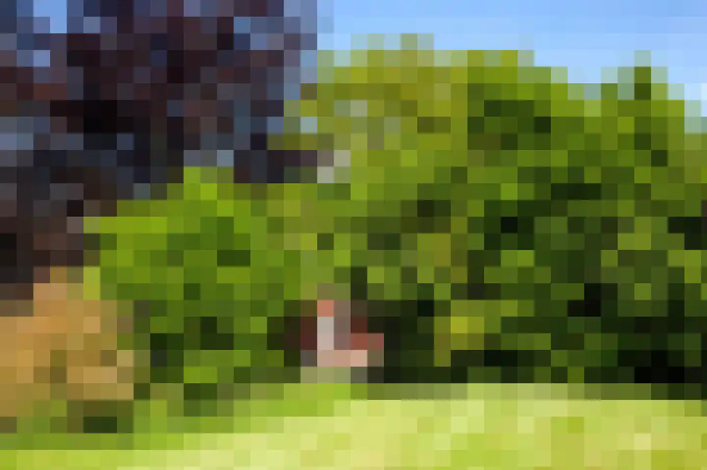 Rouvenenstraat 5 Duiven thumbnail 20
