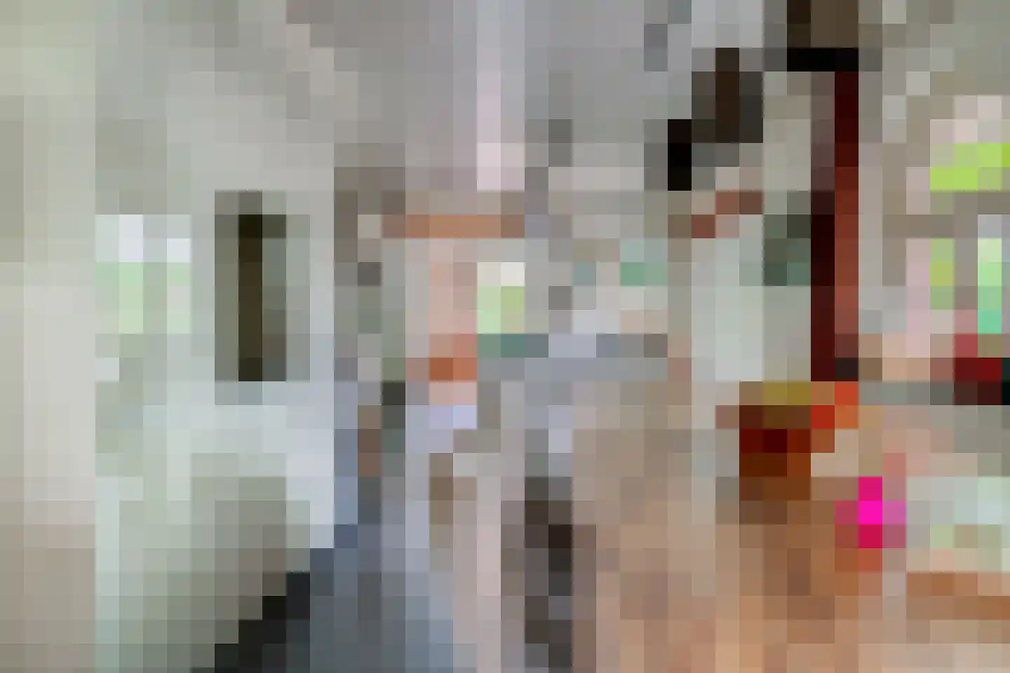 Rouvenenstraat 5 Duiven thumbnail 20