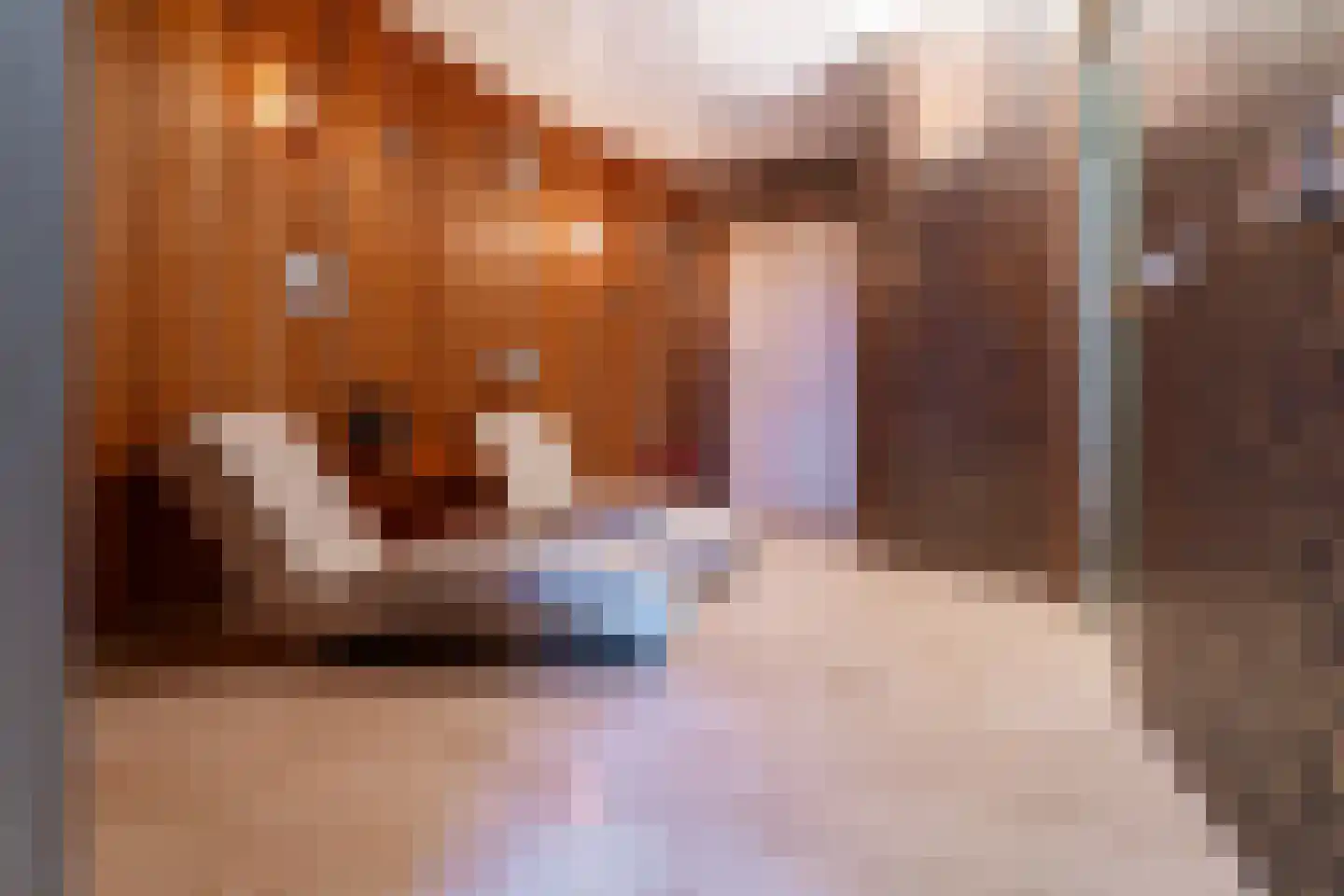 Rouvenenstraat 5 Duiven thumbnail 23