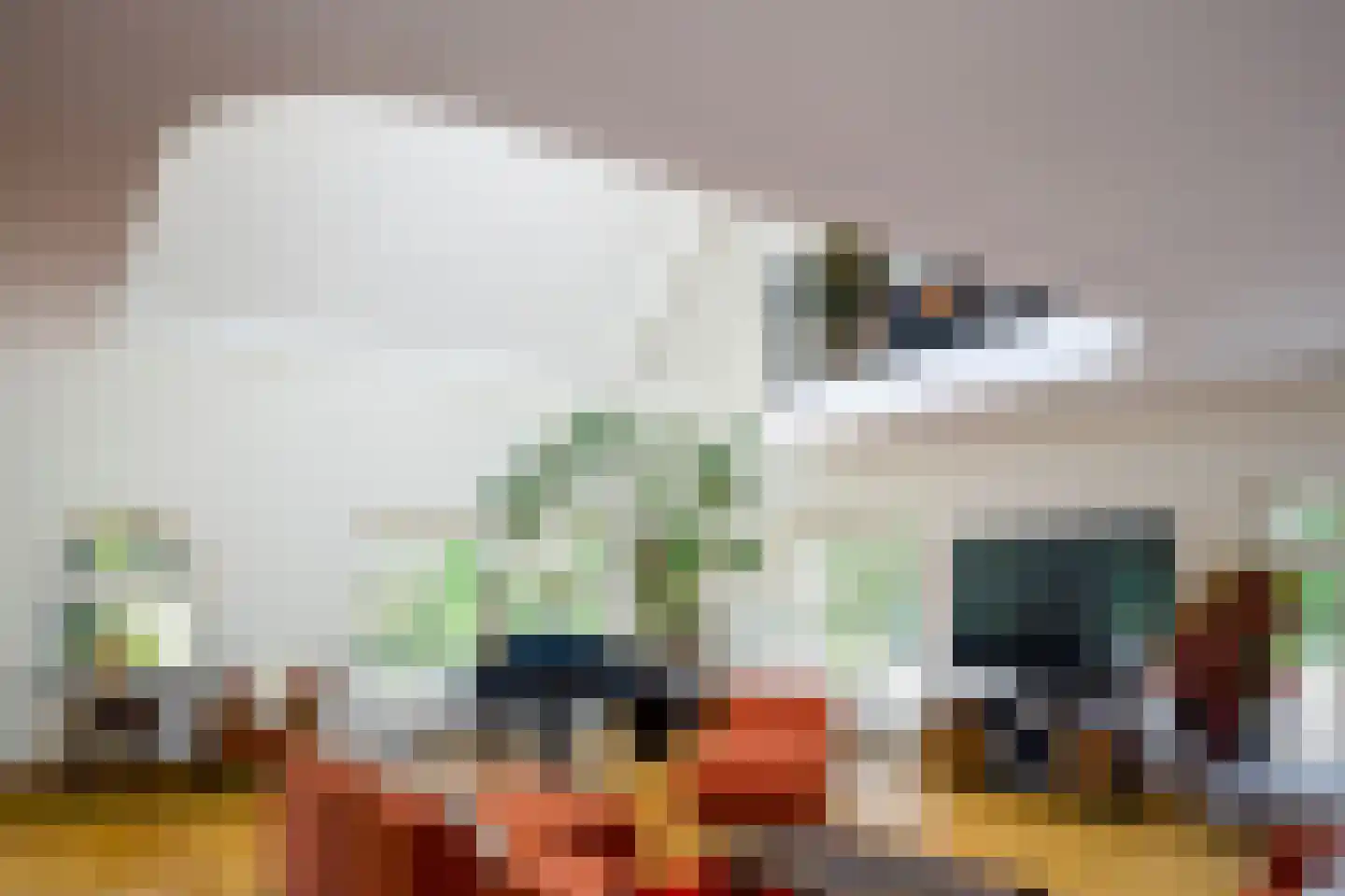 Rouvenenstraat 5 Duiven thumbnail 24