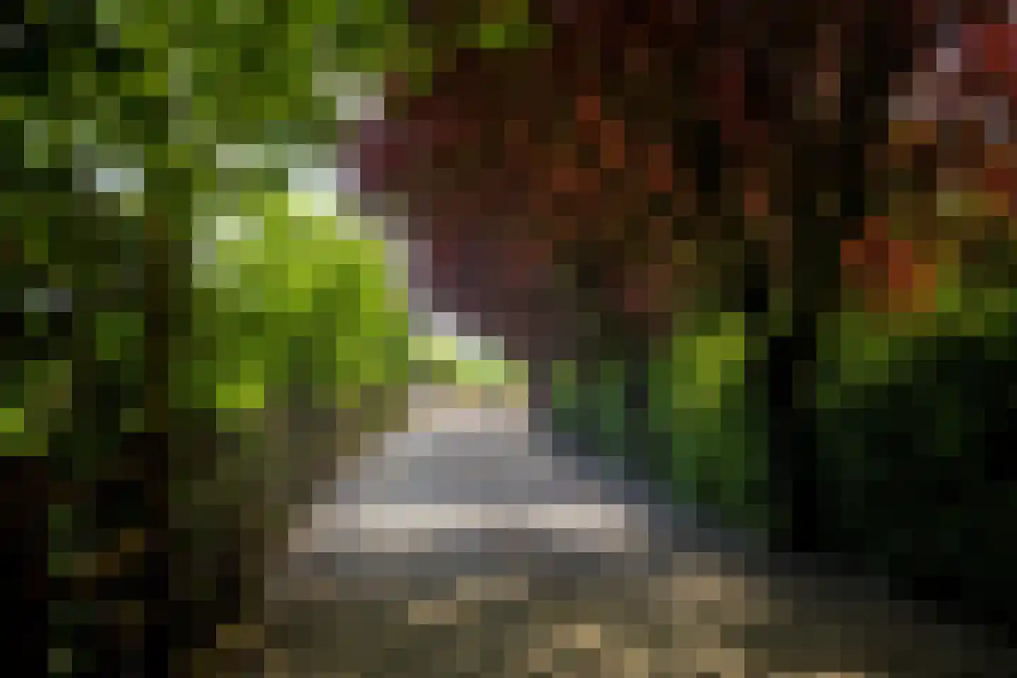 Rouvenenstraat 5 Duiven thumbnail 27