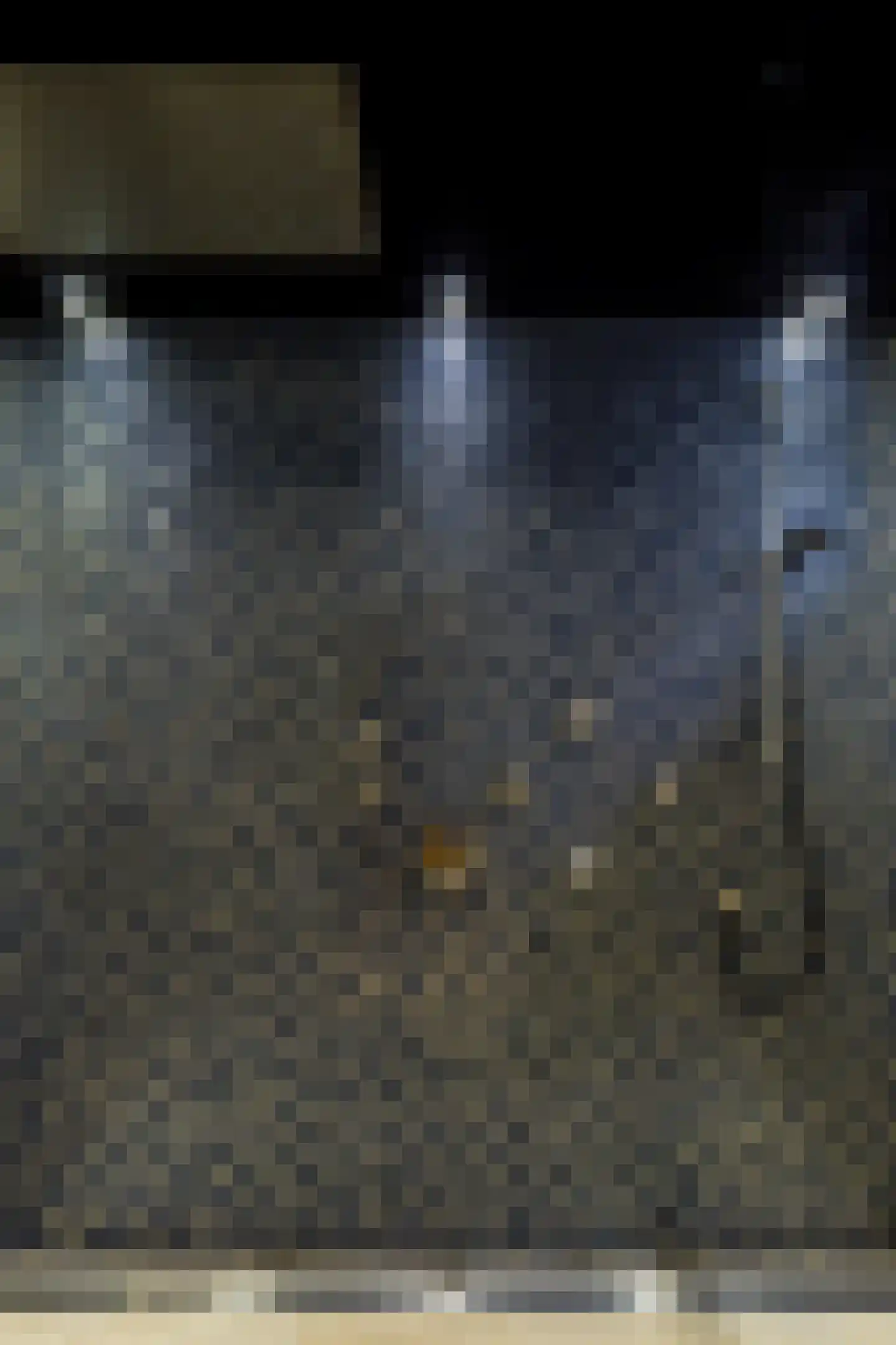 Rouvenenstraat 5 Duiven thumbnail 31