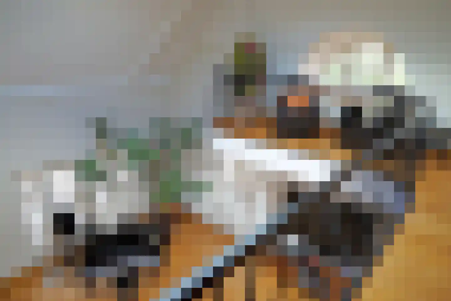 Rouvenenstraat 5 Duiven thumbnail 34