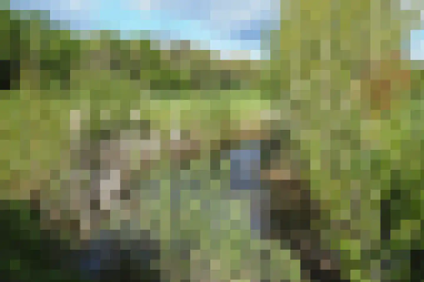 Rouvenenstraat 5 Duiven thumbnail 4