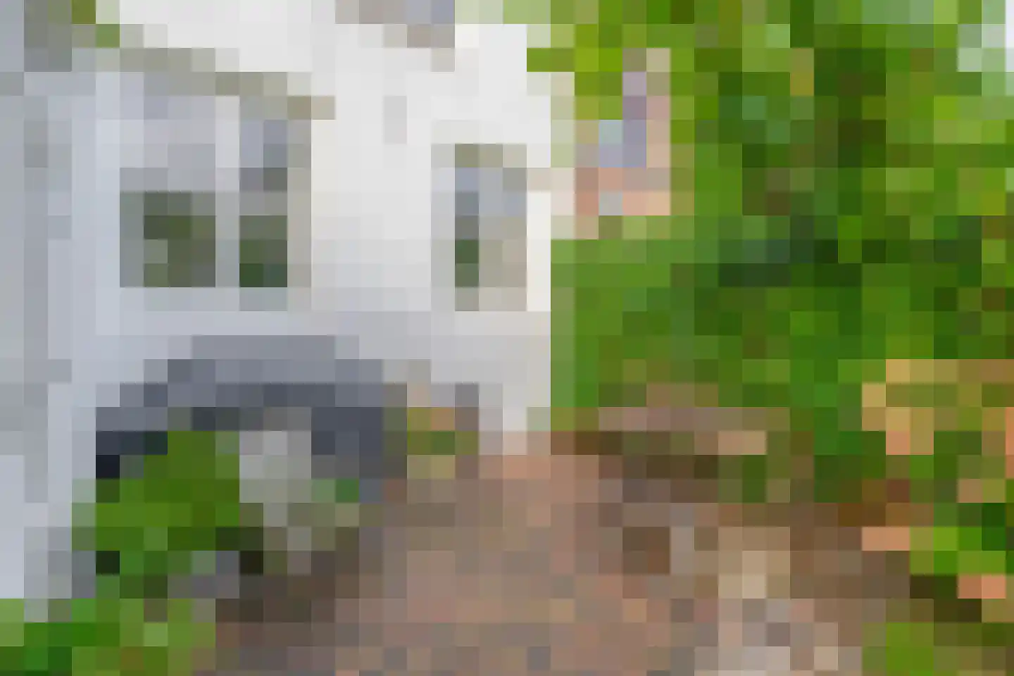 Rouwenhofstraat 14 Wageningen thumbnail 48