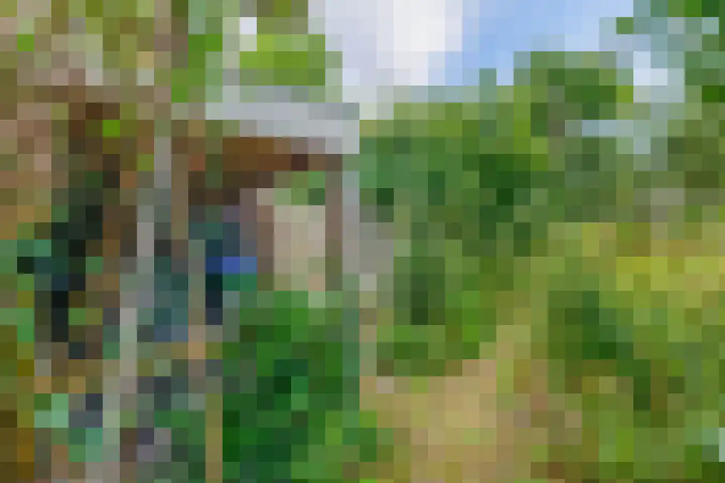 Rouwenhofstraat 14 Wageningen thumbnail 61