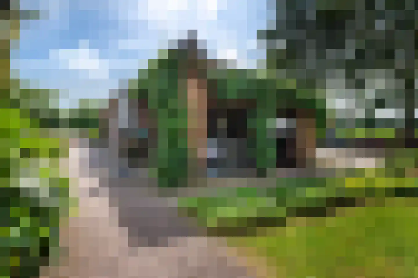 Rouwhorsterdijk 3 a Zieuwent thumbnail 11