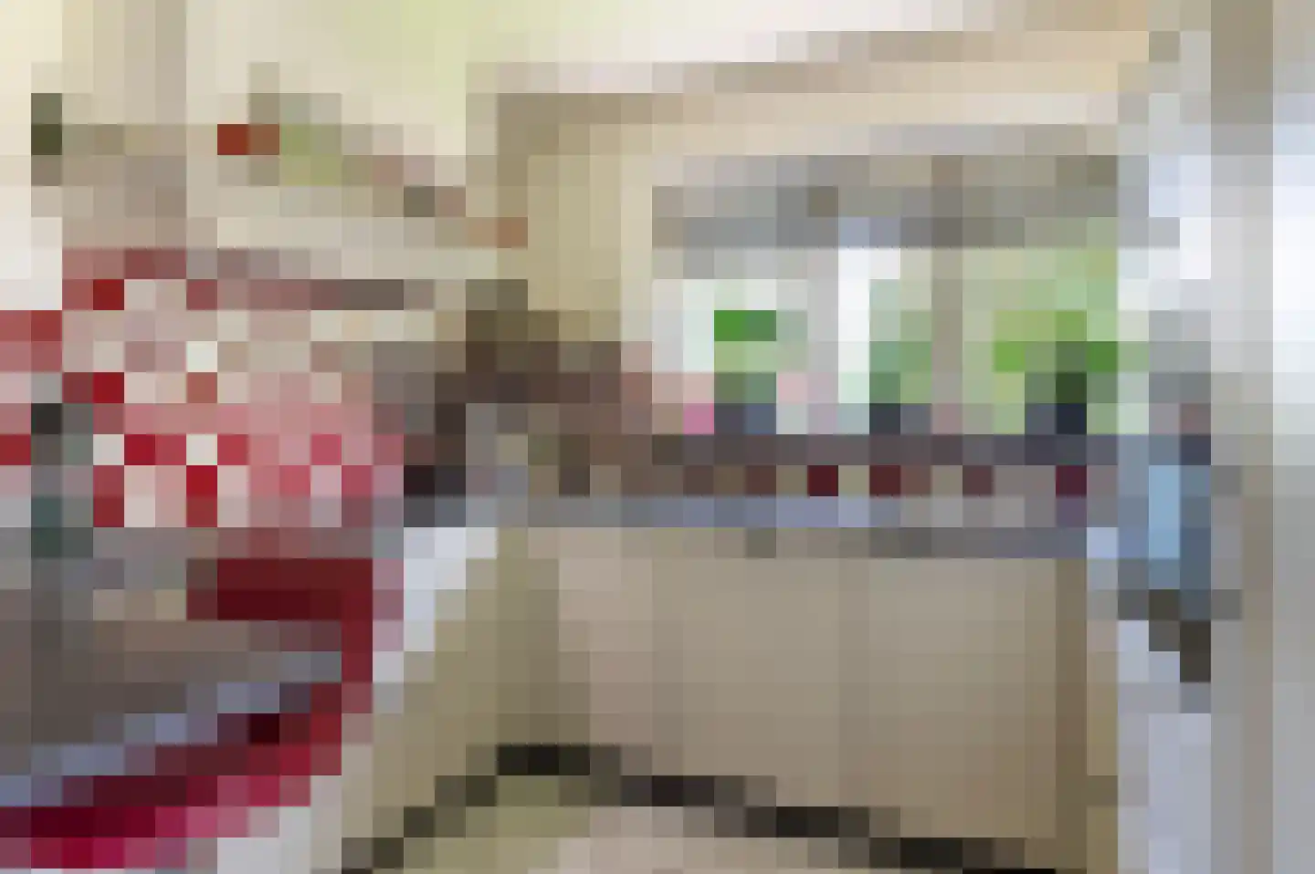 Rouwhorsterdijk 3 a Zieuwent thumbnail 18