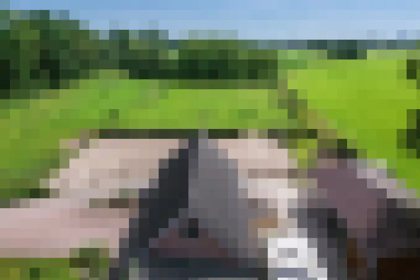 Rouwhorsterdijk 3 a Zieuwent thumbnail 30