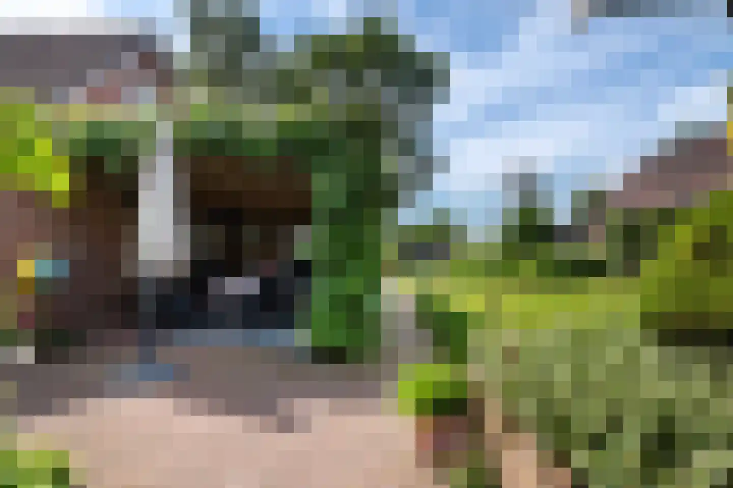 Rouwhorsterdijk 3 a Zieuwent thumbnail 31