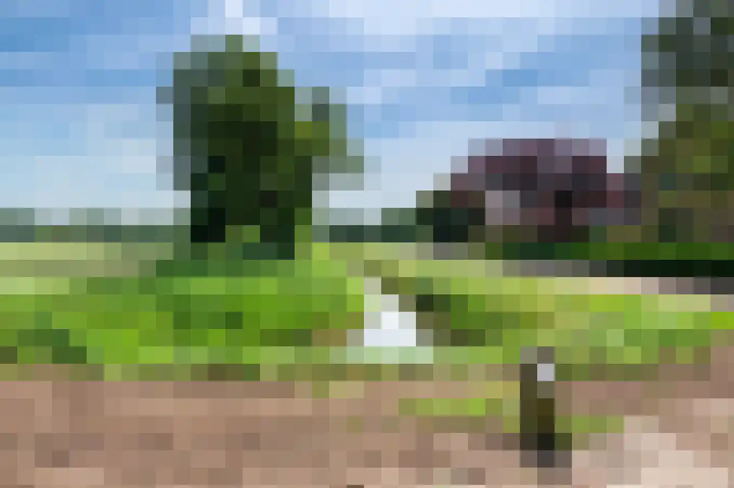 Rouwhorsterdijk 3 a Zieuwent thumbnail 32