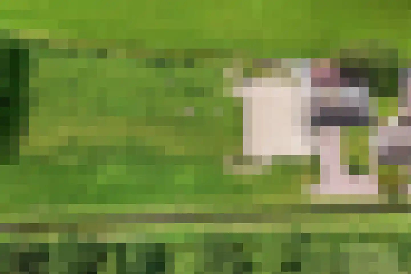 Rouwhorsterdijk 3 a Zieuwent thumbnail 37