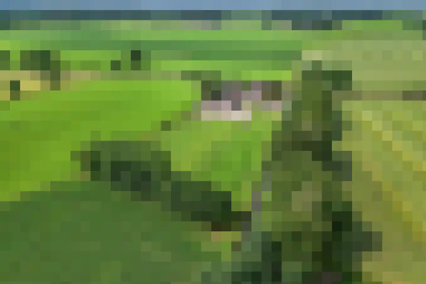Rouwhorsterdijk 3 a Zieuwent thumbnail 38