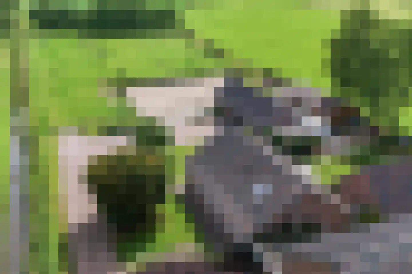 Rouwhorsterdijk 3 a Zieuwent thumbnail 4