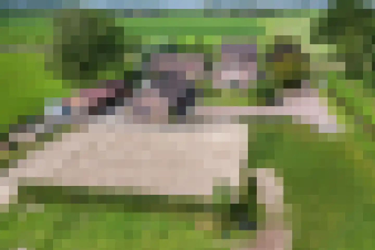 Rouwhorsterdijk 3 a Zieuwent thumbnail 5