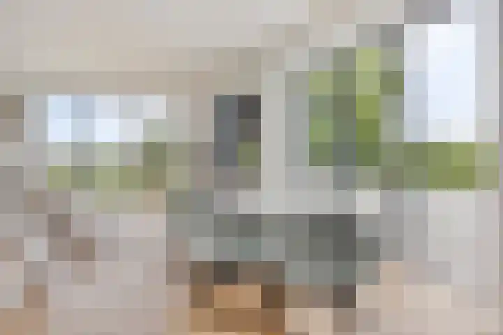 Rouwstraat 1 Odiliapeel thumbnail 10