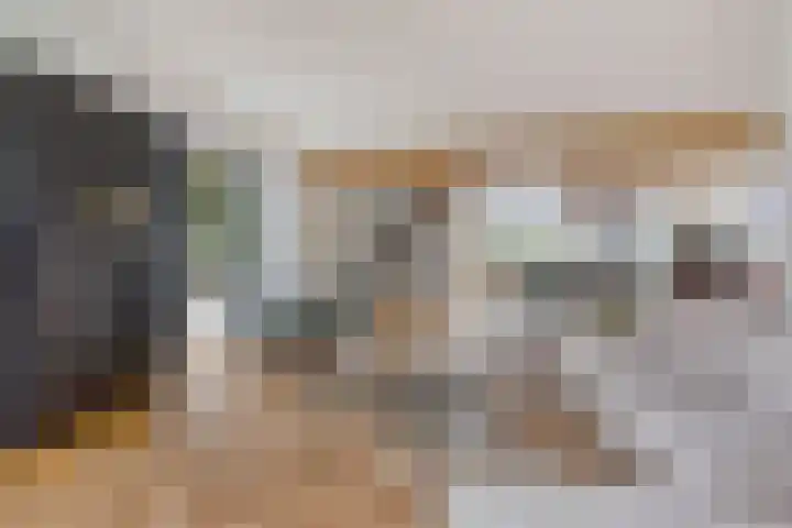 Rouwstraat 1 Odiliapeel thumbnail 11