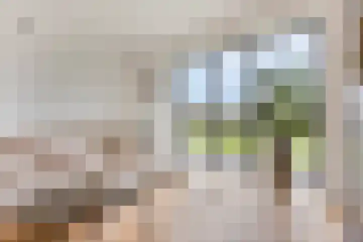 Rouwstraat 1 Odiliapeel thumbnail 13
