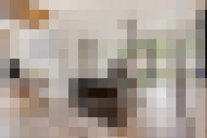 Rouwstraat 1 Odiliapeel thumbnail 14