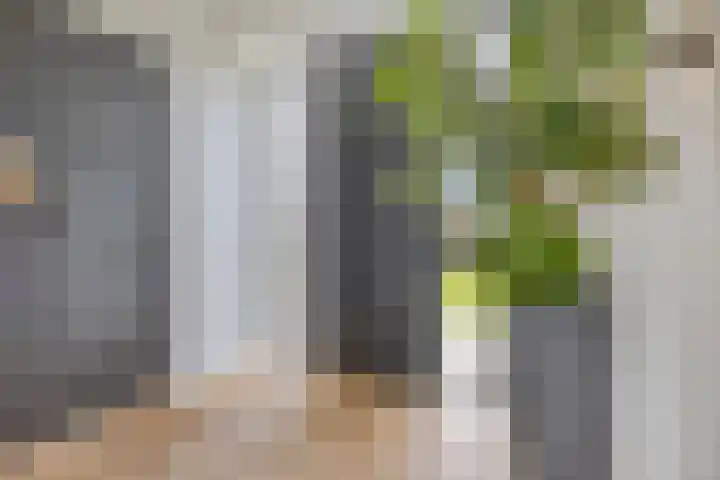 Rouwstraat 1 Odiliapeel thumbnail 18