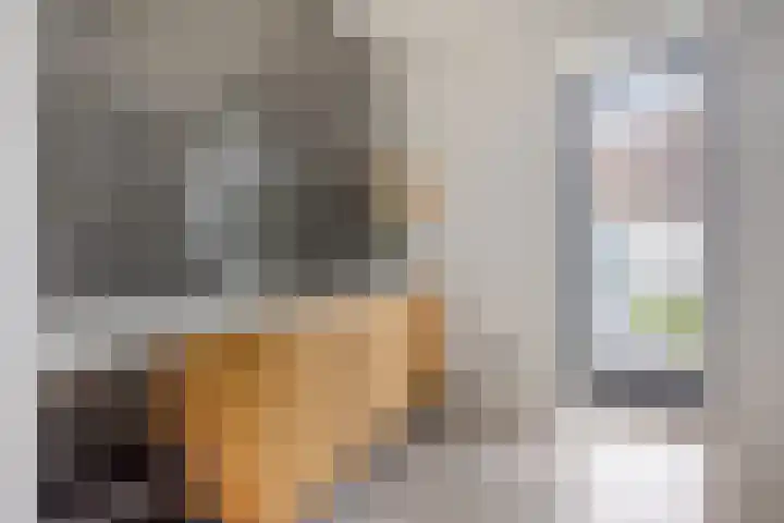 Rouwstraat 1 Odiliapeel thumbnail 20
