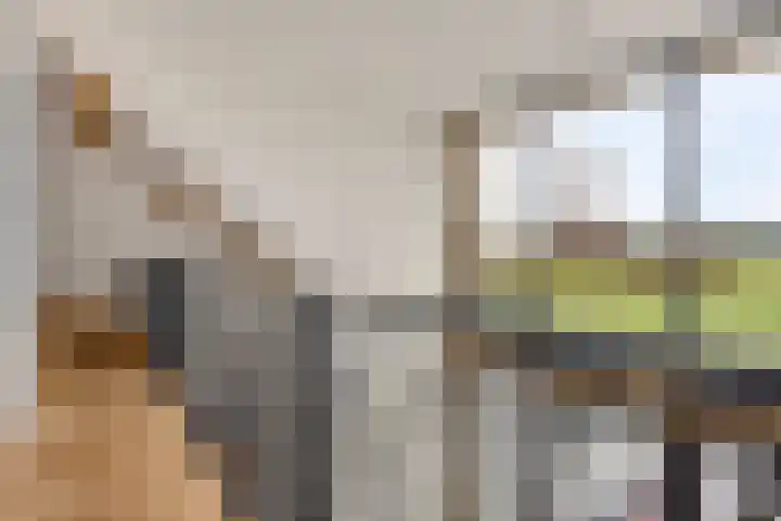 Rouwstraat 1 Odiliapeel thumbnail 21