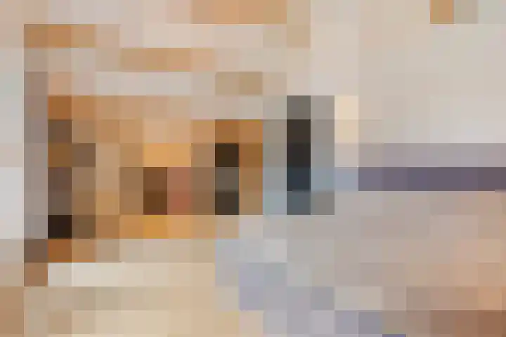 Rouwstraat 1 Odiliapeel thumbnail 25