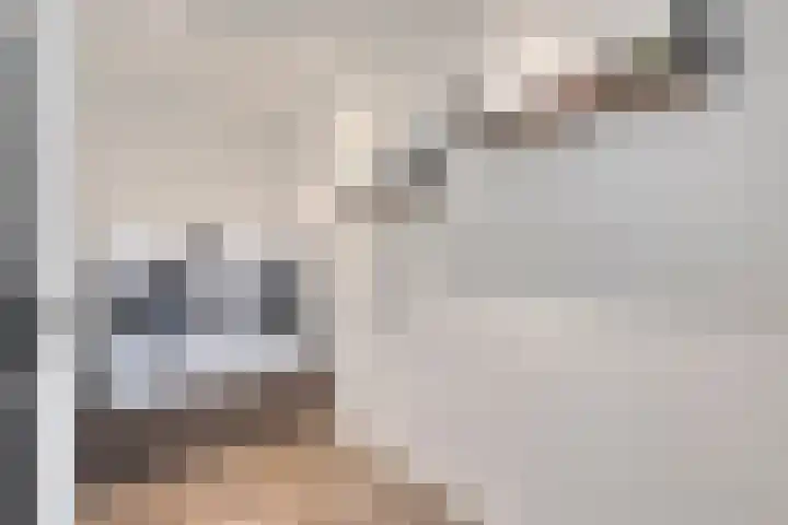 Rouwstraat 1 Odiliapeel thumbnail 36
