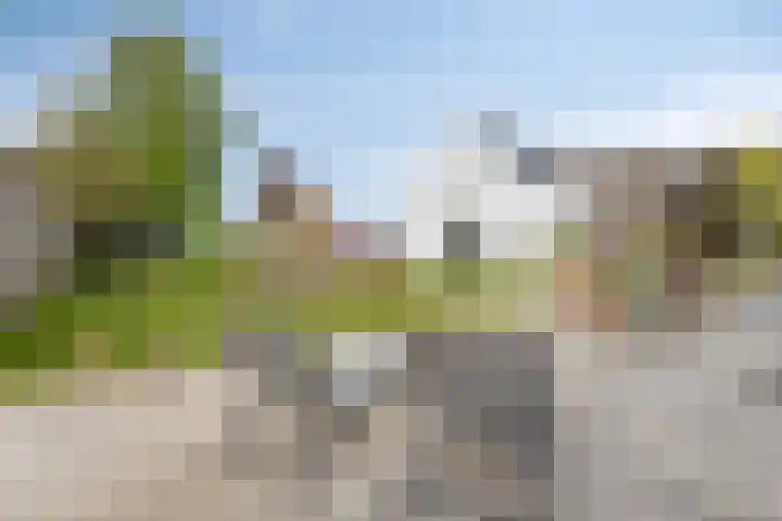 Rouwstraat 1 Odiliapeel thumbnail 39