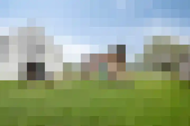 Rouwstraat 1 Odiliapeel thumbnail 40