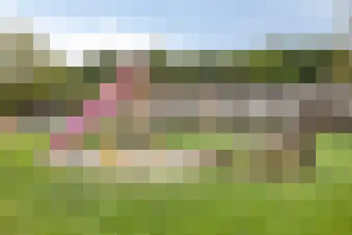 Rouwstraat 1 Odiliapeel thumbnail 43