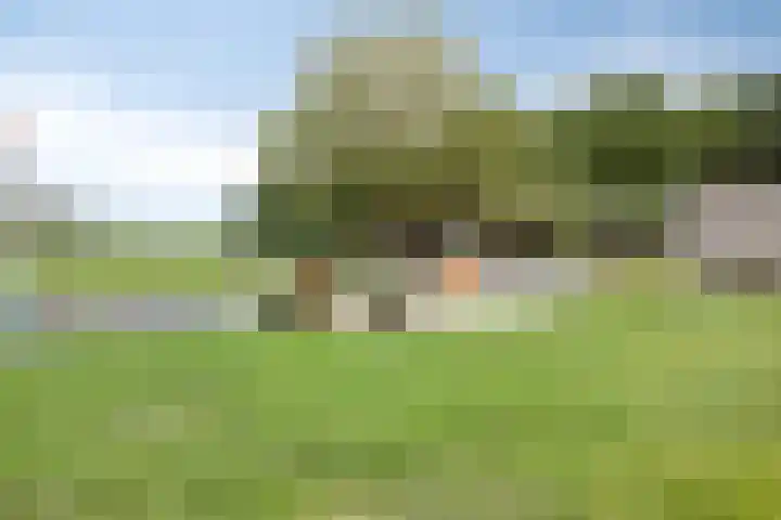 Rouwstraat 1 Odiliapeel thumbnail 44