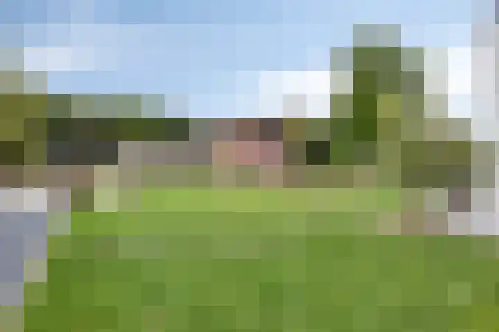 Rouwstraat 1 Odiliapeel thumbnail 46