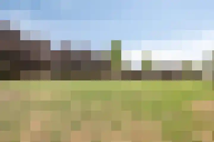 Rouwstraat 1 Odiliapeel thumbnail 47