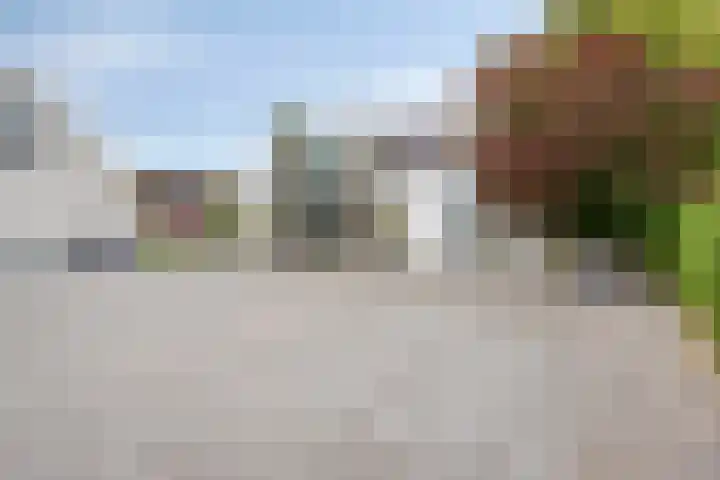 Rouwstraat 1 Odiliapeel thumbnail 49