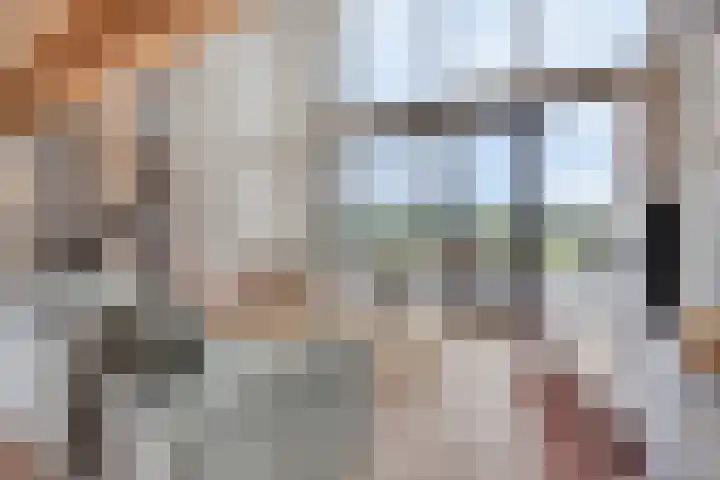 Rouwstraat 1 Odiliapeel thumbnail 5