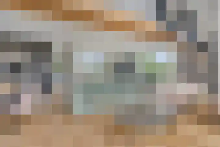 Rouwstraat 1 Odiliapeel thumbnail 6