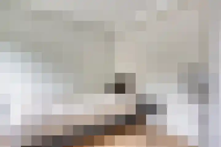 Rouwstraat 1 Odiliapeel thumbnail 61