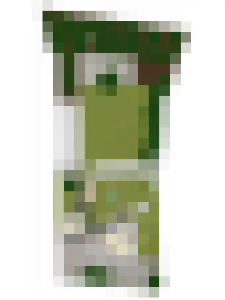 Rouwstraat 1 Odiliapeel thumbnail 66