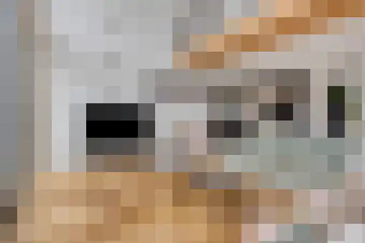 Rouwstraat 1 Odiliapeel thumbnail 7