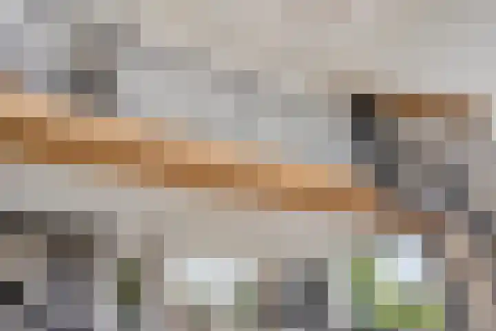 Rouwstraat 1 Odiliapeel thumbnail 8