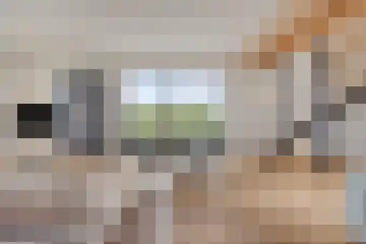 Rouwstraat 1 Odiliapeel thumbnail 9
