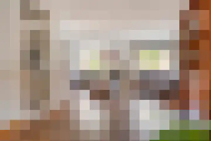 Roverbruidegom 9 Eindhoven thumbnail 10