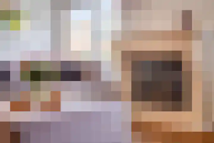 Roverbruidegom 9 Eindhoven thumbnail 12