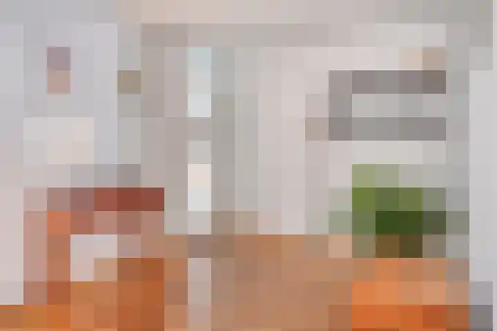 Roverbruidegom 9 Eindhoven thumbnail 18